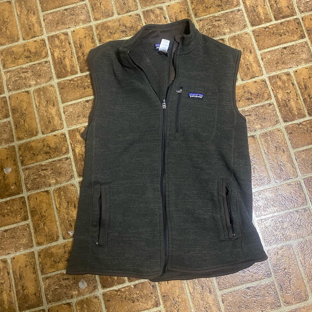 Patagonia Vest.